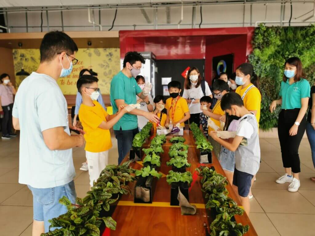 Urban Farming in TheYoungMaker